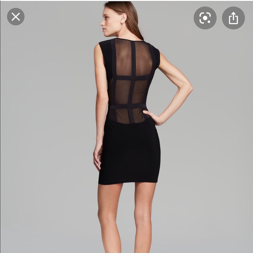 Elizabeth and James Levinson Dress